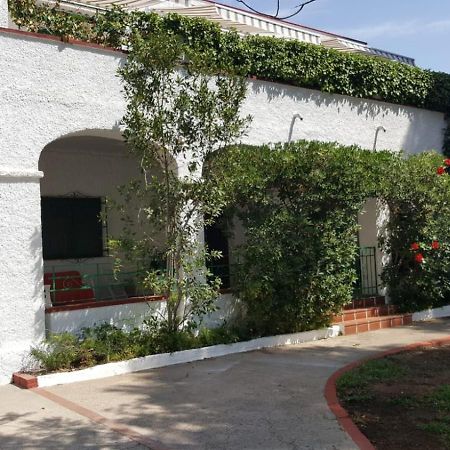 Villa Feli 3 Benicàssim Kültér fotó