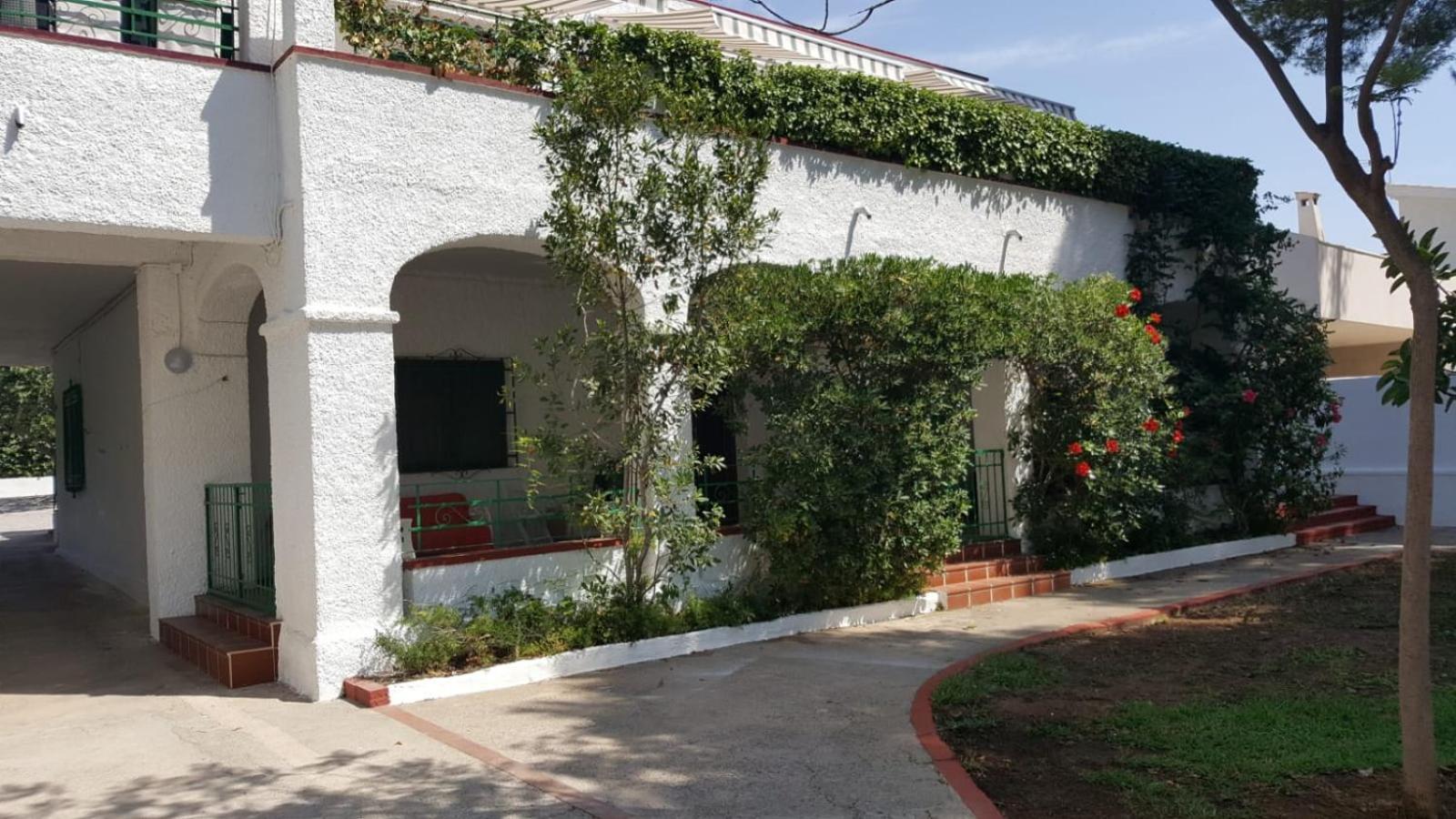 Villa Feli 3 Benicàssim Kültér fotó